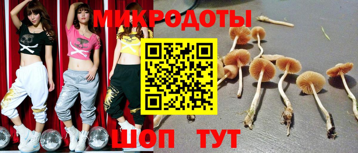 Псилоцибиновые грибы мухоморы  Вход с VPN  Псилоцибиновые грибы мицелий  Тайшет 