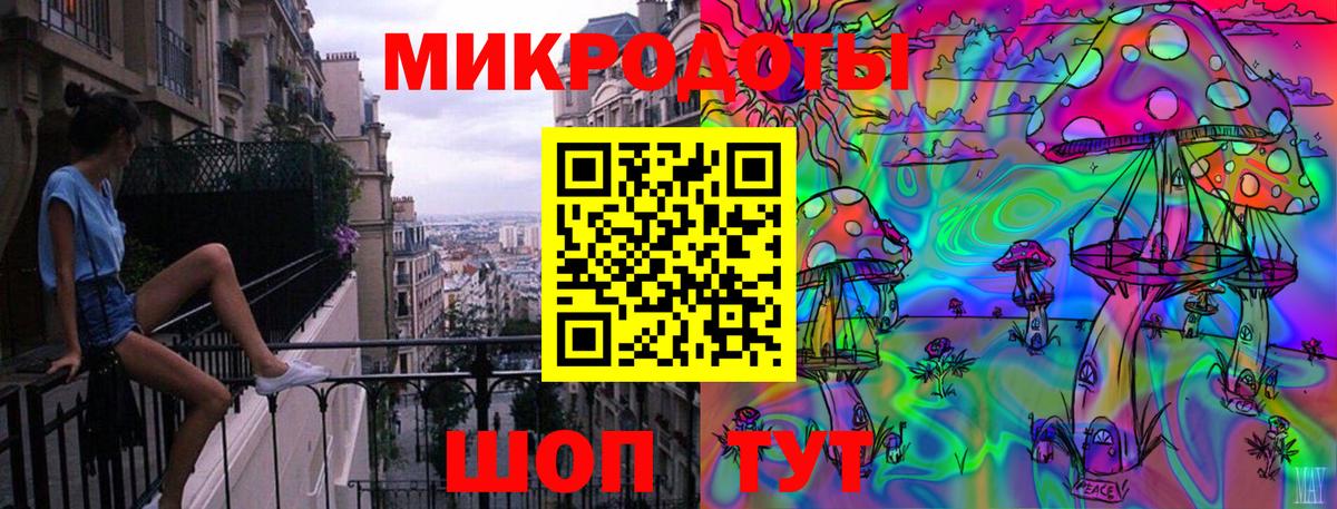 Псилоцибиновые грибы Psilocybine cubensis Тайшет